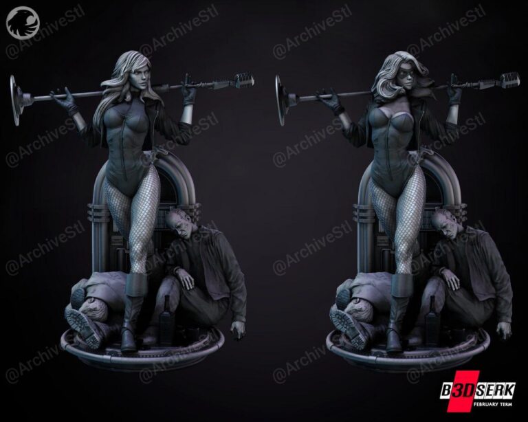 b3dserk february term 2023 black canary