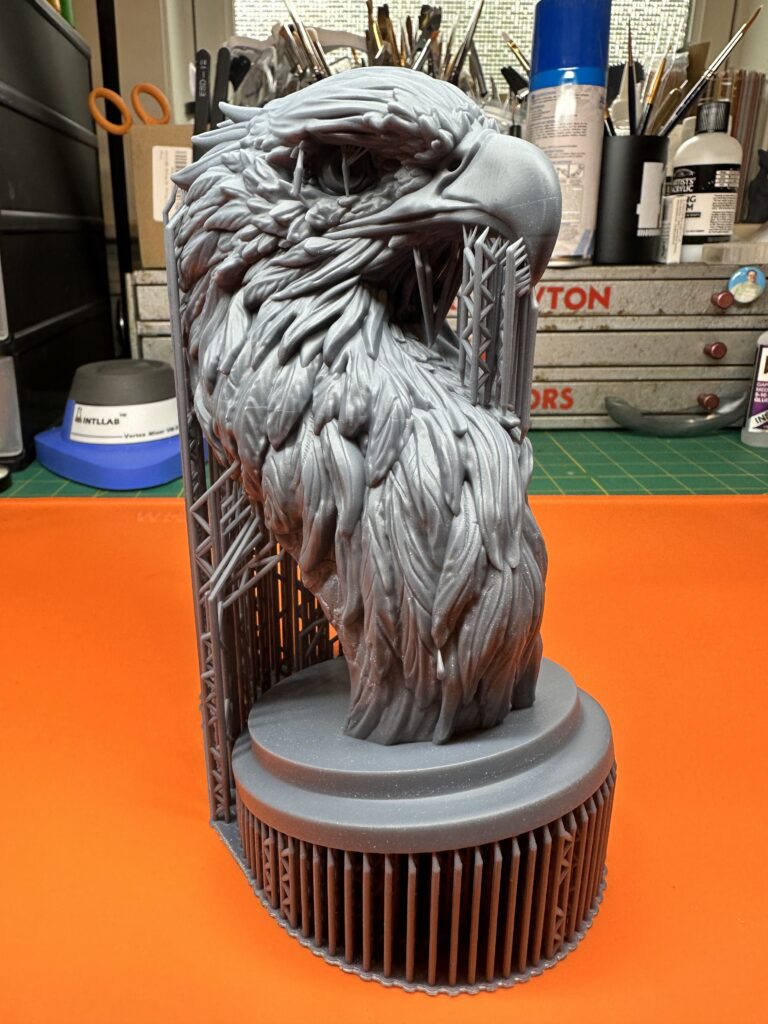 bald eagle