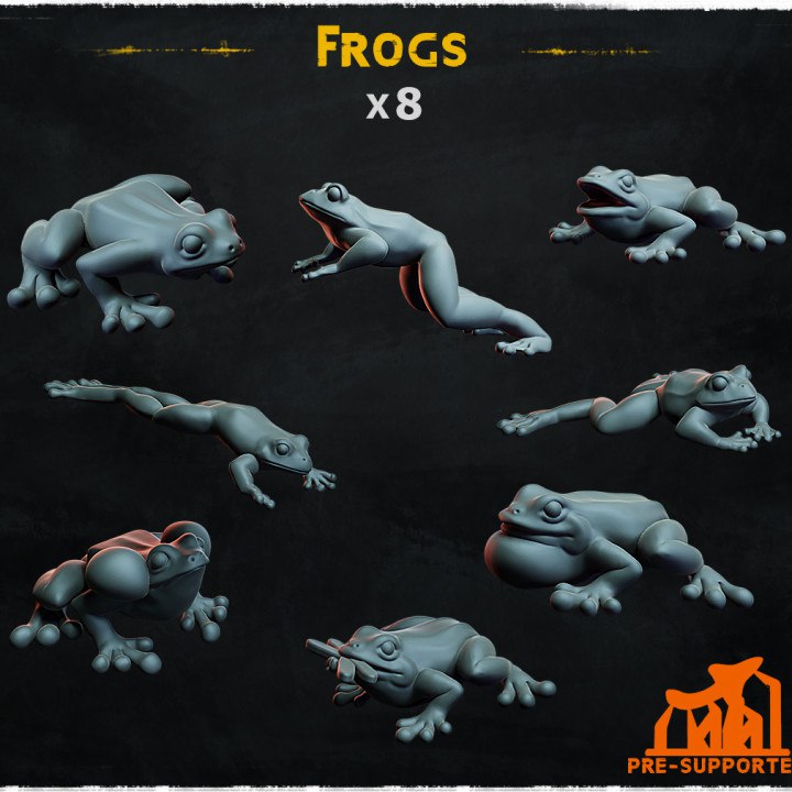 frogs