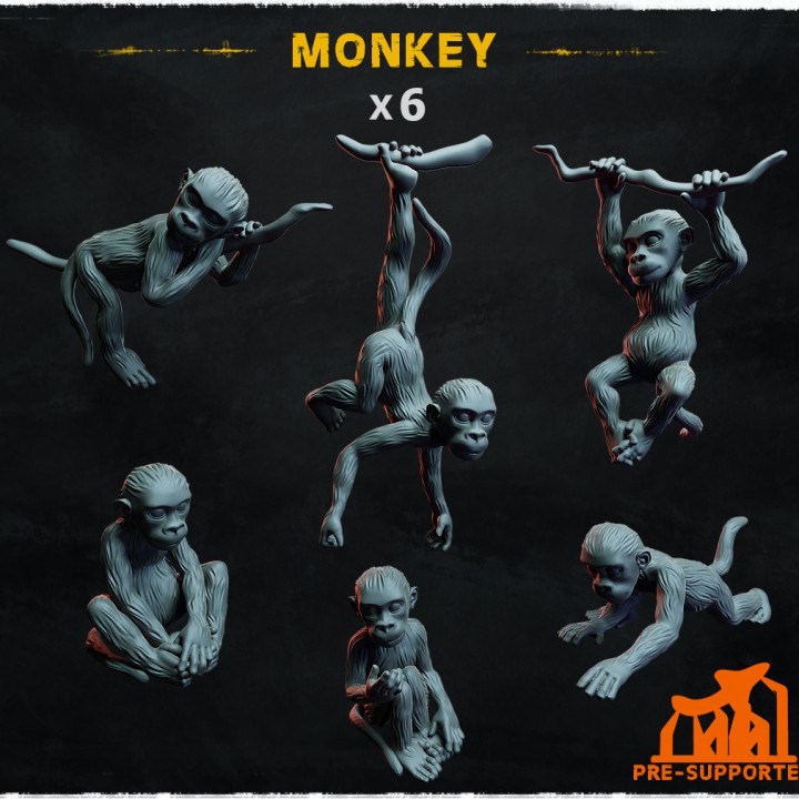 monkey